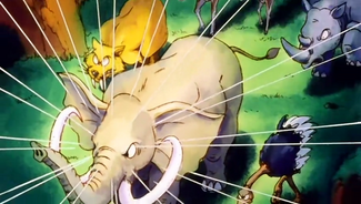 Animales
