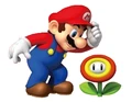 Mariofireflower