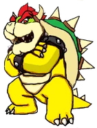 BowserKKR.