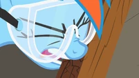 Rainbow Dash Biting Wood S2E3