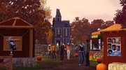 TS3Seasons market