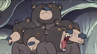 S1e6 multi-bear