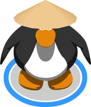 Sensei's Hat
