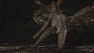 Debra Transformation
