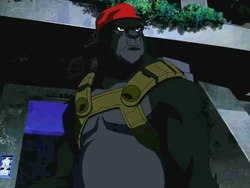 Monsieur Mallah