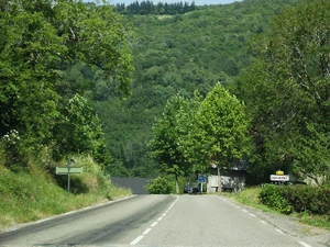 D12 (19) (1)