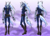Wolf.full body
