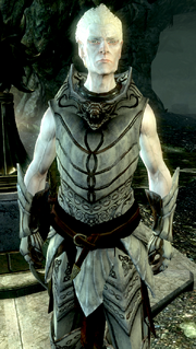 KnightPaladinGelebor