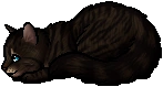 Hawkfrost.kit