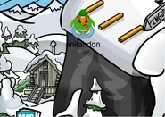 Shed and penguin
