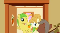 Aunt Orange and Uncle Orange at the door S1E23