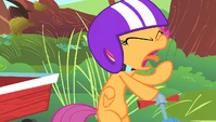 Scootaloo mock-gags S1E23
