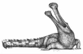 Ms Sarcosuchus.jpg