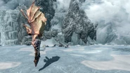Naaslaarum Diving