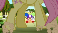 Fluttershy lands in the CMC's path S1E23