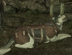 Bran