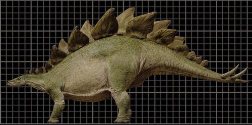 stegosaurus real life