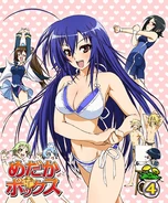 DVD Volume 4