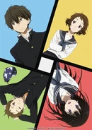 PP01