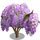 Japanese Wisteria Tree-icon