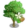 Teak Tree-icon