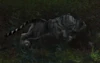 ShaInfestedProwler