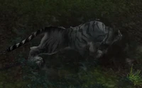 ShaInfestedProwler