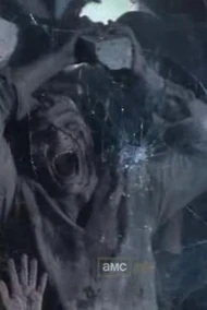 Caminante de la roca.jpg