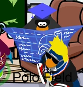 Polo Field (8)