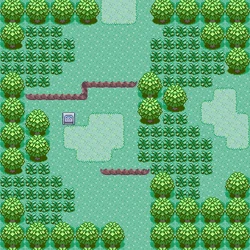 Route 101 RSE