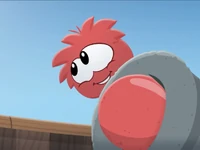 Yarr 002