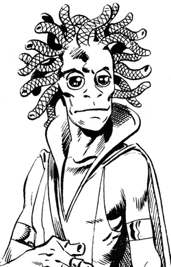 Kutu