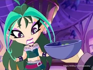 Narcissa2
