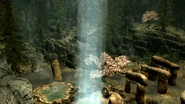 AncestorGlade03