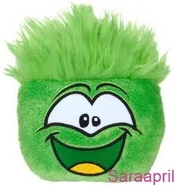 ImagesCAP4SBNW