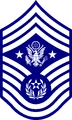 CMSGTAF Insignia (STAF).png