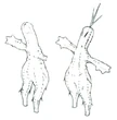 Sabotender FFXI Art