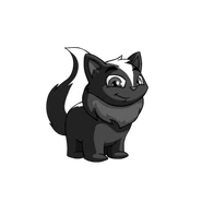 Skunk Wocky