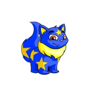 Starry WOcky