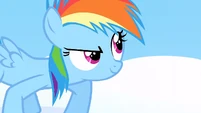Filly Rainbow ready to race S1E23