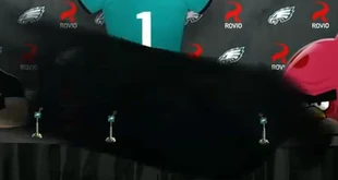 Mighty Philadelphia Eagle