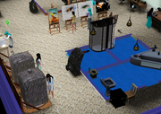 Big6Artisanship