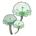 Puffball