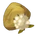 Cotton Seed