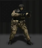 Navysealassault