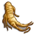 Ginseng-icon
