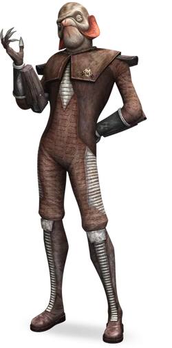 Majorrigosso