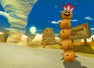 Pokey (Mario Kart Double Dash!!)