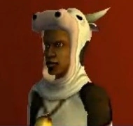 Sinjin Balani