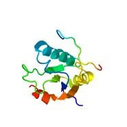 1O0P b.pdb